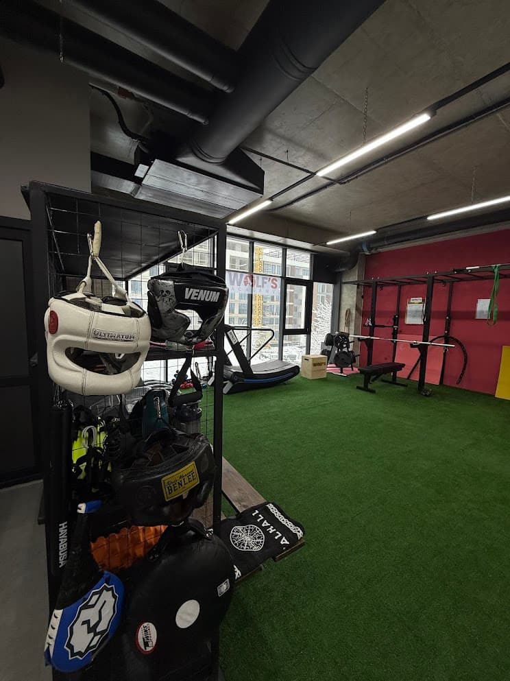 Wolf's Academy gym interior 1